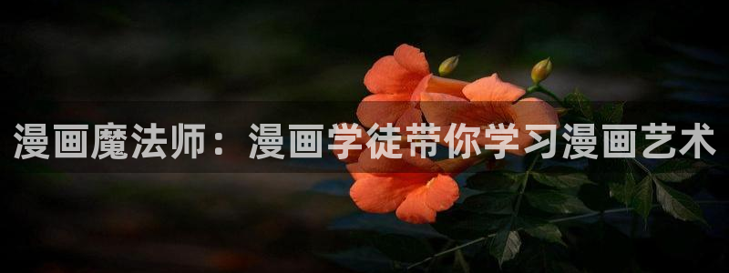 漫画岛下载免费下载