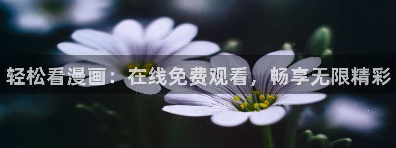 漫画岛官网
